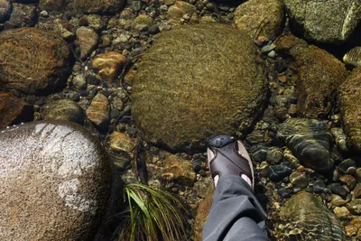 DSC_4298 (Large).JPG